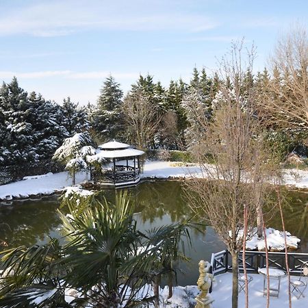 Grandma'S Wonderland Guest House Gazitepekoy Екстериор снимка