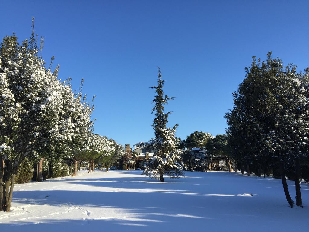 Grandma'S Wonderland Guest House Gazitepekoy Екстериор снимка