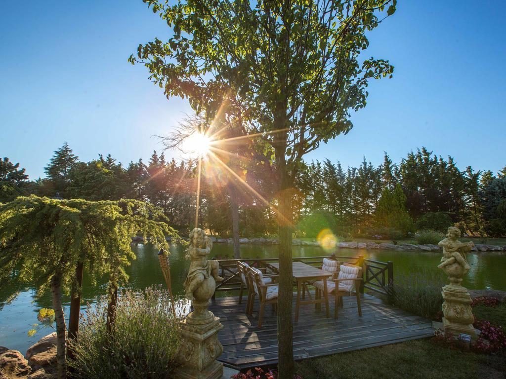 Grandma'S Wonderland Guest House Gazitepekoy Екстериор снимка