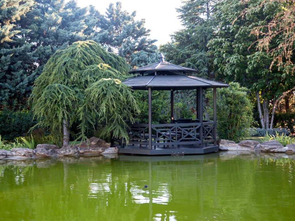 Grandma'S Wonderland Guest House Gazitepekoy Екстериор снимка